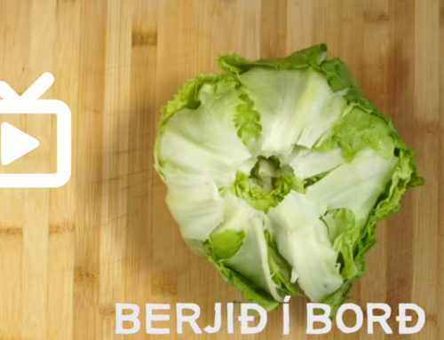 Minni matarsóun – Iceberg kálið
