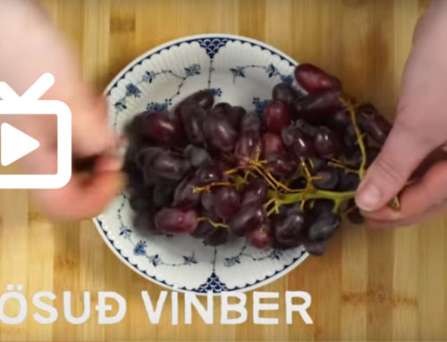 Minni matarsóun – Frystu vínberin